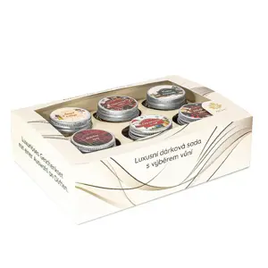 Arome  Set svíček s přáním 28g v dárkové krabičce, Winter, mix 6 ks