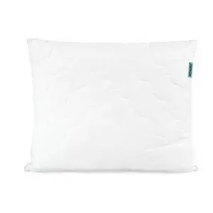 Wendre Polštář Aloe Vera, 70 x 80 cm