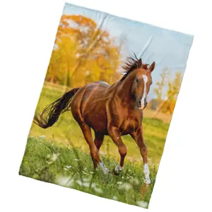 BedTex Deka mikroplyš Ryzák na louce, 150 x 200 cm